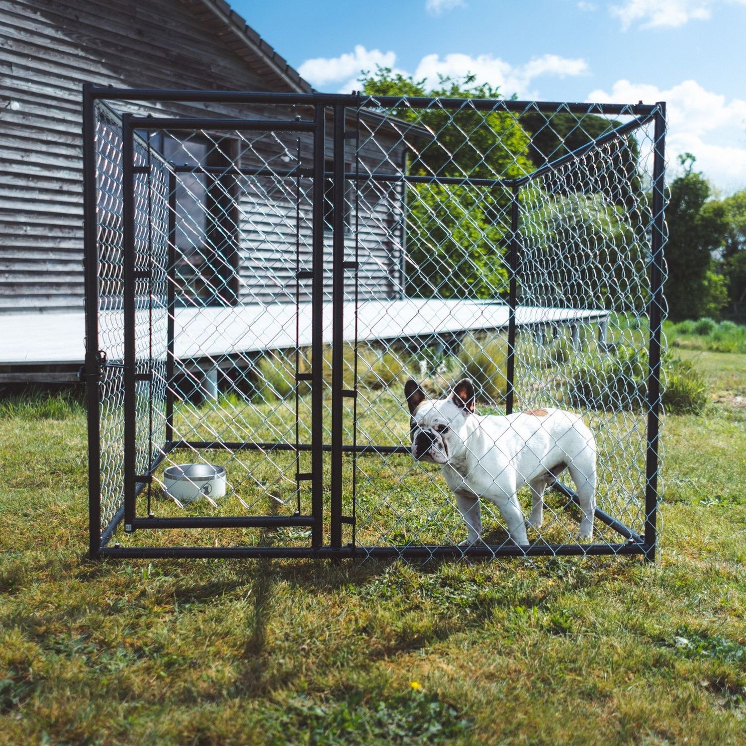 FEANDREA Parc pour Chiens, Enclos en métal, Chiot, Petits Animaux, Noir