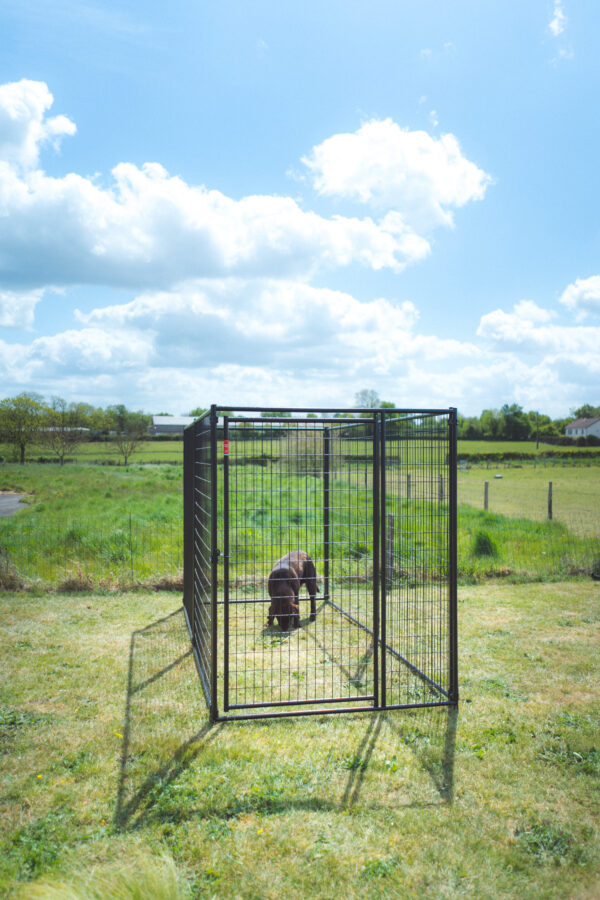 Chenil avec GRILLAGE-SOUDE jceurope Lucky Dog