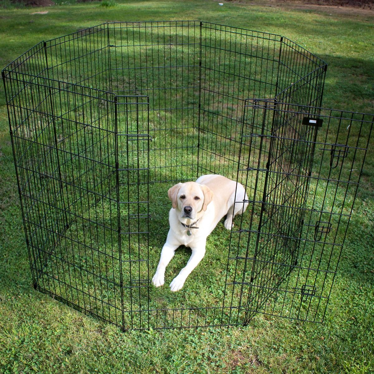 Enclos extérieur pour chiens et chiots - JCEurope