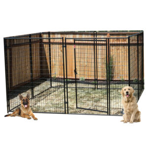 Enclos Extérieure Pour Chien Modulable L