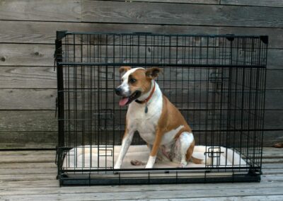 Cage pour chien 107x74x85 cm noir