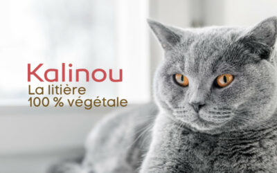 Litière végétale et compostable pour chat – Cultivée et produite en France