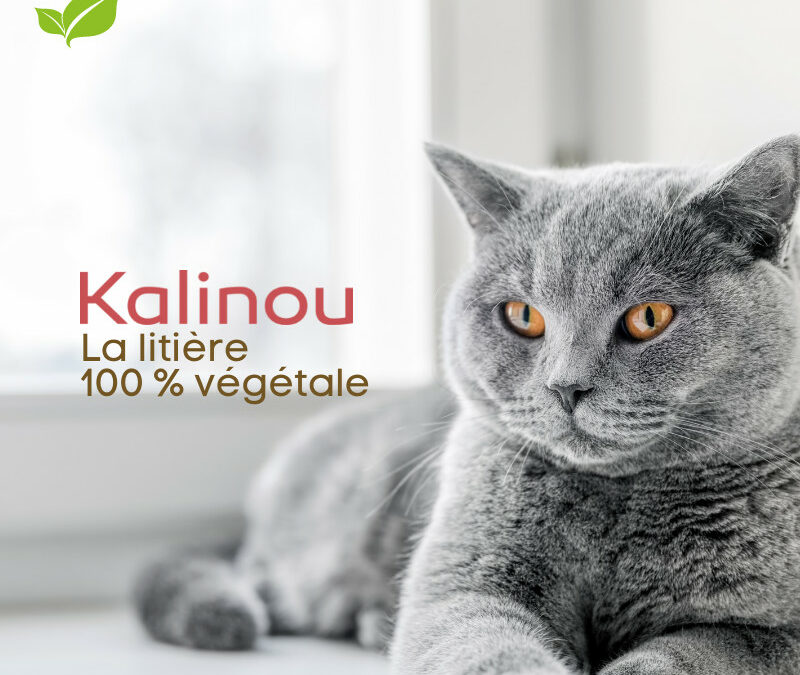 Litière végétale et compostable pour chat – Cultivée et produite en France