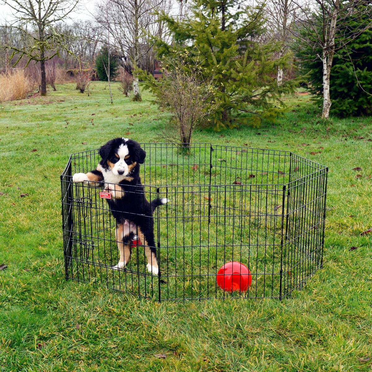 Parc Enclos pour chien chiot et lapin GARDEO80x100x4, 4 panneaux 80X100cm,  0,64M2, modulable, intérieur et extérieur, pliable, garantie 5 ans, Paitsy