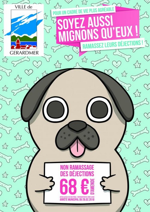 Affiche Collectivités Déjections canines amendes GERARDMER