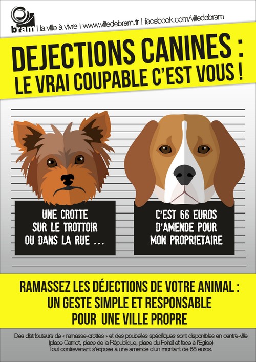 Affiche Collectivités Déjections canines amendes