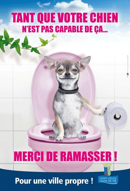 Affiche Collectivités Déjections canines SAINT GILLES