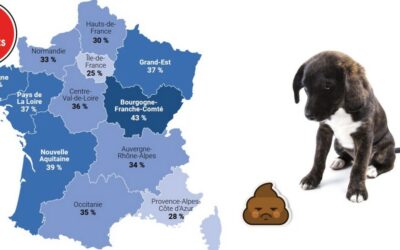 Collectivités – Déjections canines incivilités et propreté