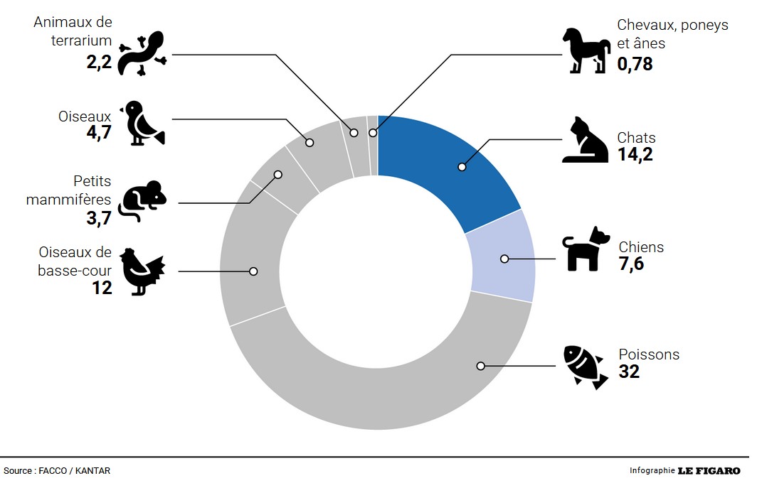 Répartition des animaux domestiques en France, en millions