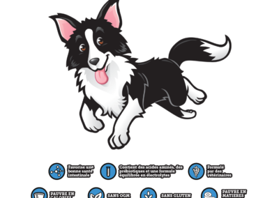 Boisson pour chien enrichie en prébiotiques | Solution d’hydratation et de réhydratation | Gourde de 250 ml – DoggyRade