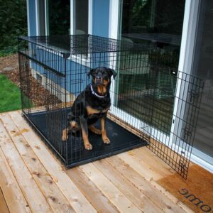 CAGE DE TRANSPORT pour chien luckey dog