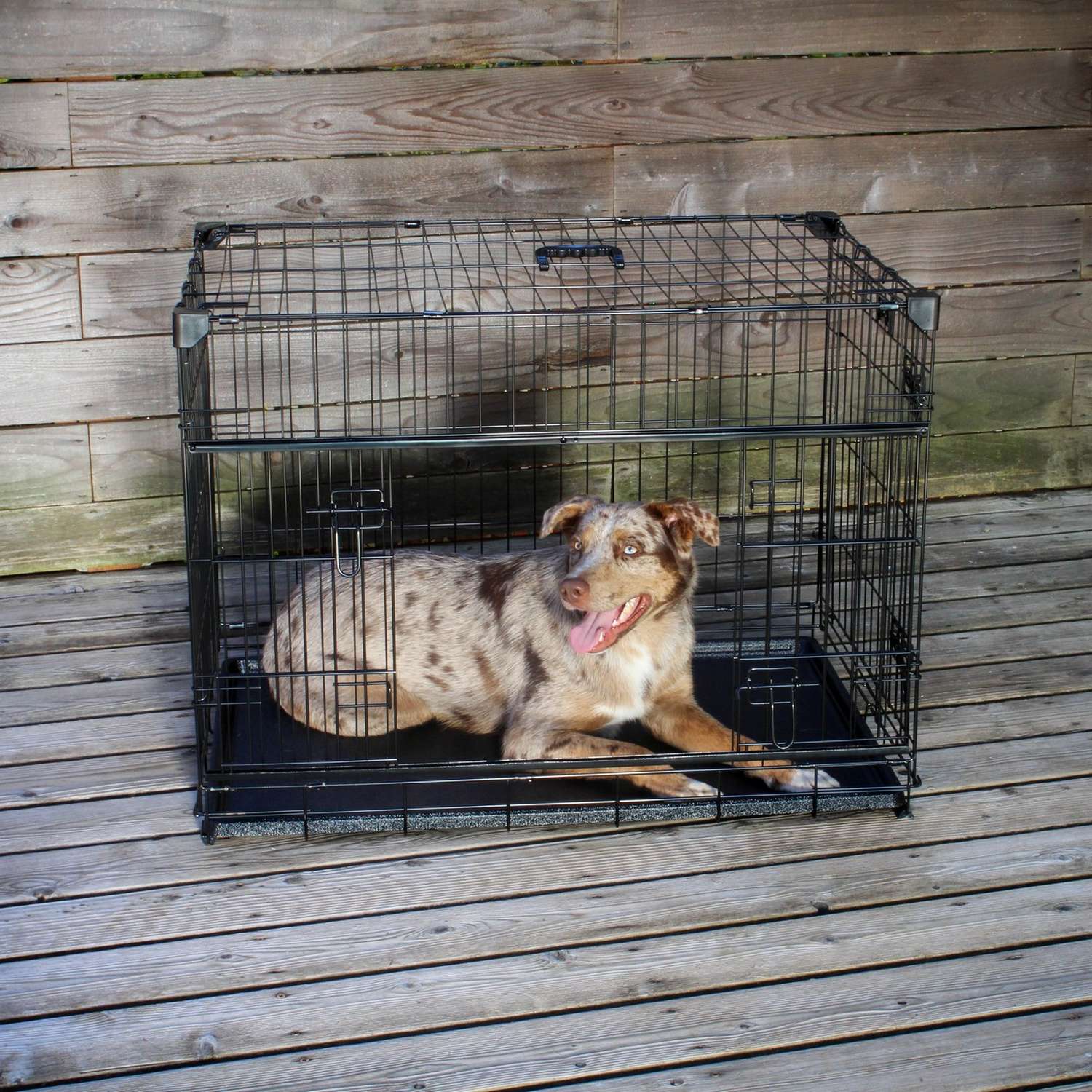 Cage de transport chien taille M/L pliable
