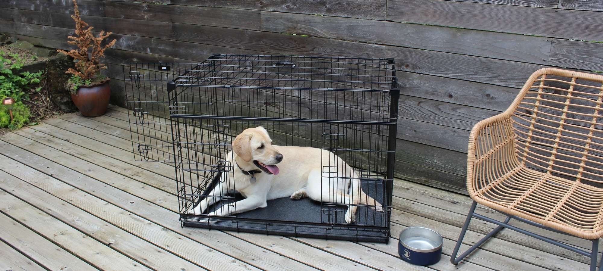 Caisse pour chien lucky dog