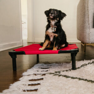 Matelas Lit Surélevé Lucky Dog
