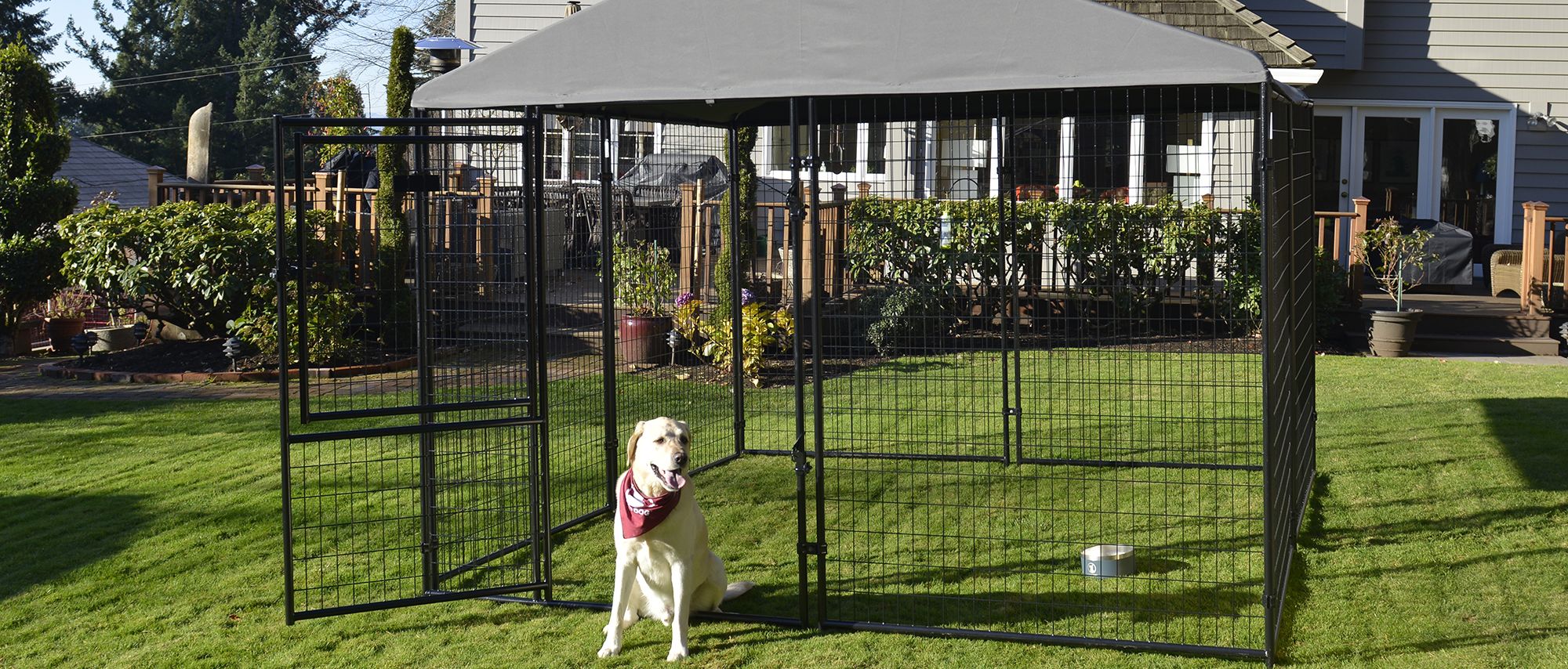 Chenils et boxes pour chiens lucky dog