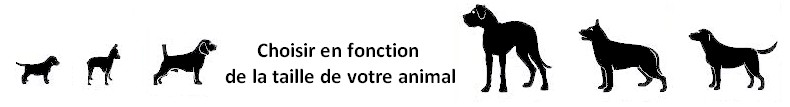 Choisir sa laisse pour chien en fonction de l'âge et de la taille ..