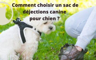 Comment choisir un sac de déjections canine pour chien