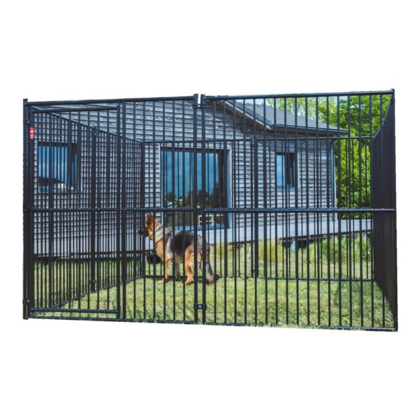 Chenils de Détente & D’attente Pour Chiens Difficiles et Animaux Lucky Dog