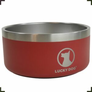 Lucky Dog - JCEurope