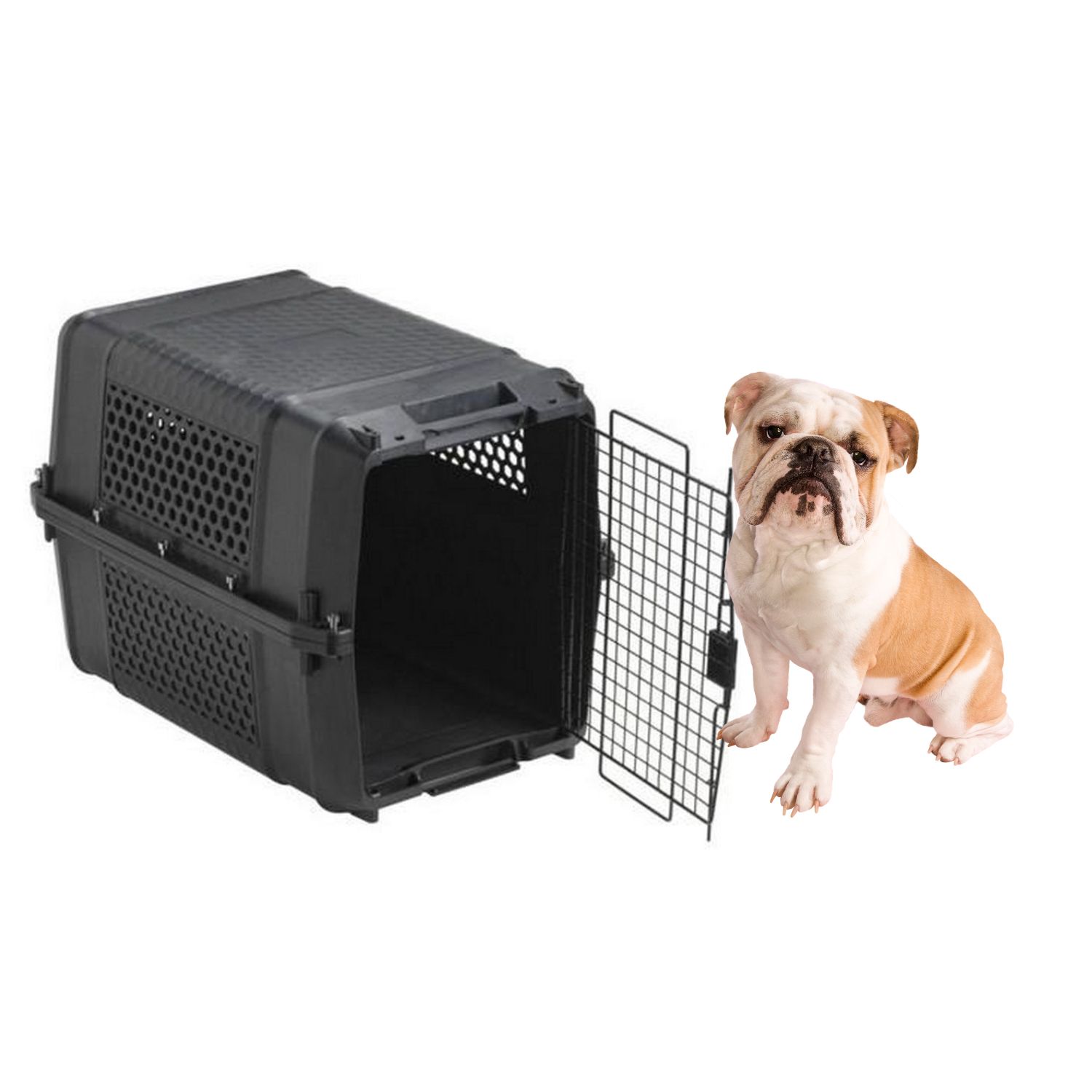 Cage Transport pour Lapin, Multi-ventilé Design Caisse Transport, Donner  Animaux Beaucoup D'espace pour étirer, Chenil pour Chien Ca - Cdiscount