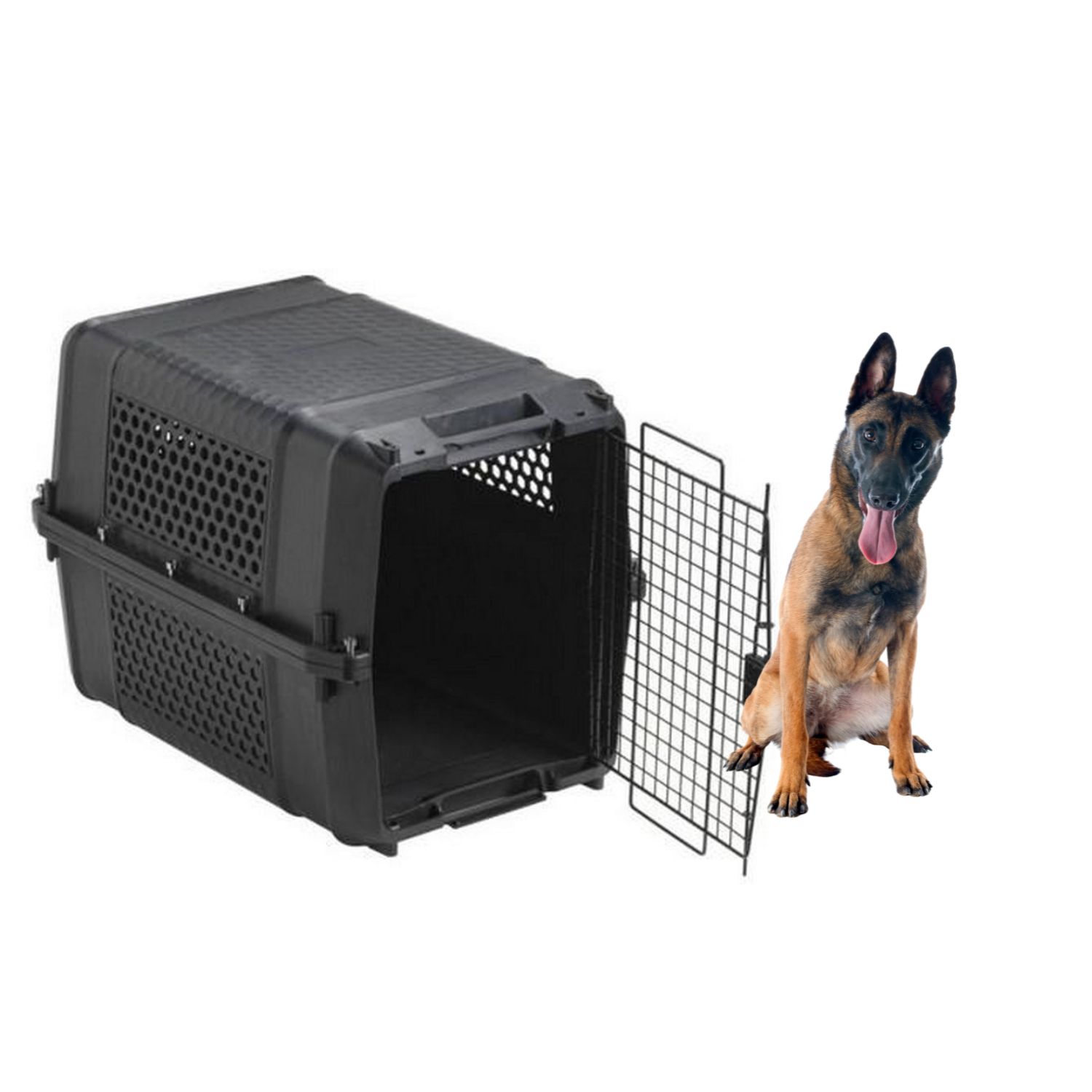 Cage de Transport pour Chien Kennel Taille 5