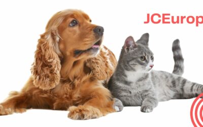 Articles et accessoires du quotidien pour CHIENS, CHIOTS et CHATS