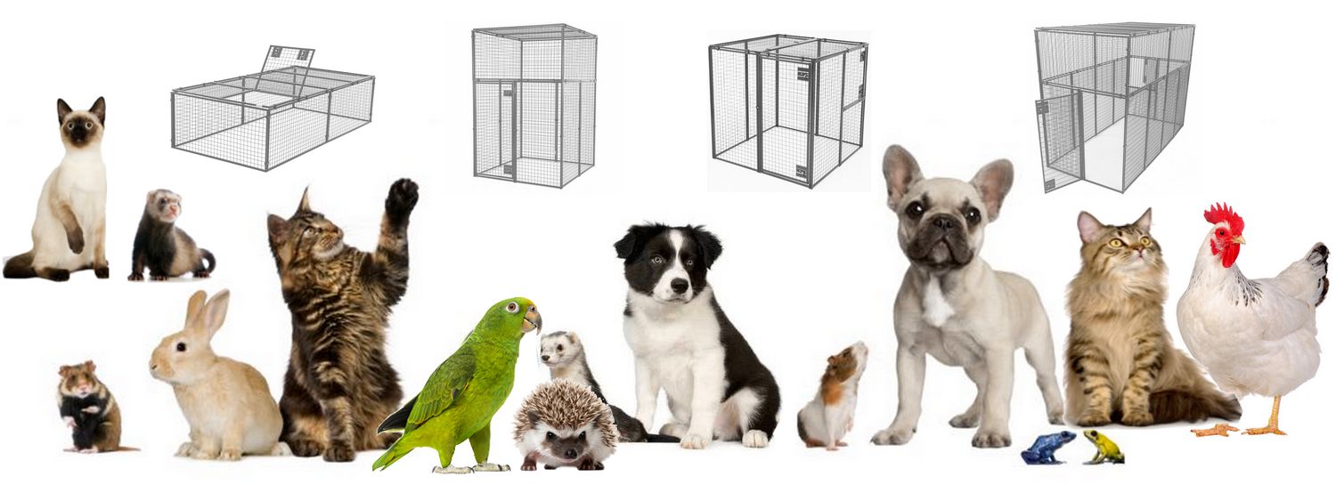 Animal House Box pour Animaux Nac