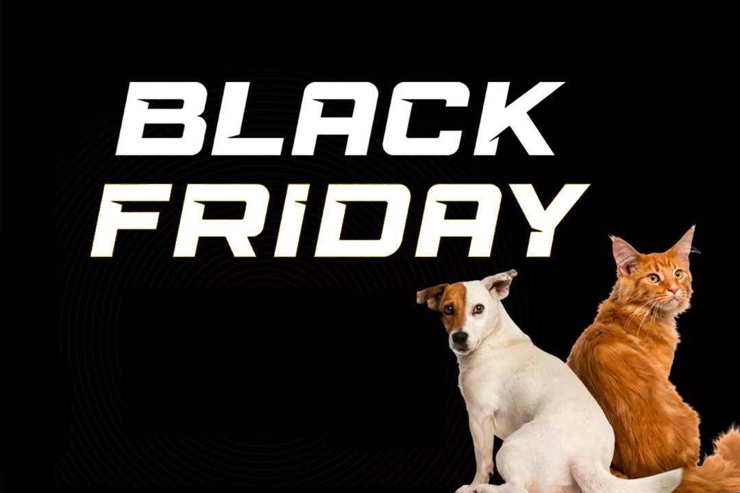 Black Friday – Shopping Pour Chiens et Chats (3)