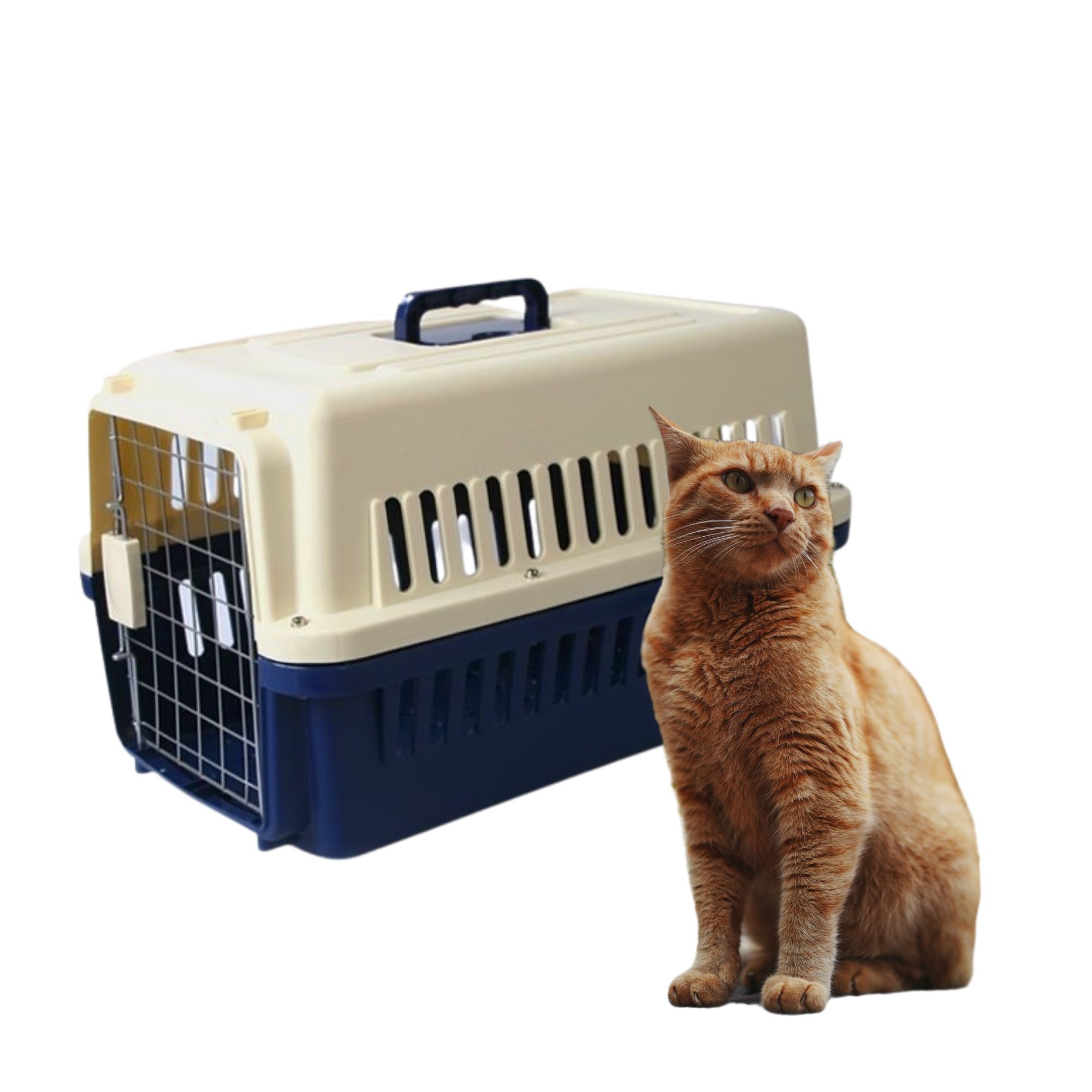 Caisse de transport chien et chat - taille M - Voyage Avion Voiture - IATA