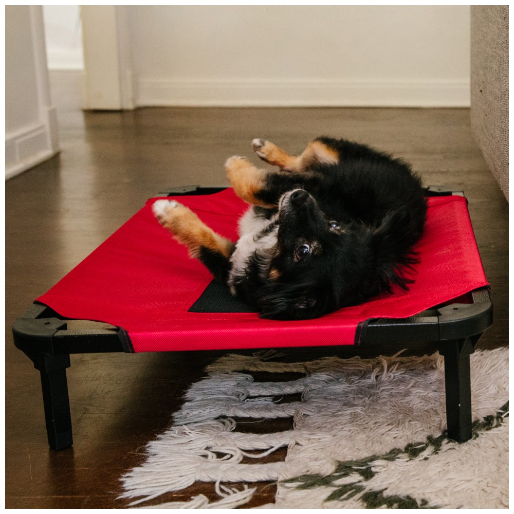 11- Matelas de repos surélevé pour chien - Intérieur extérieur - Rouge - M  74x51x19 - Lucky Dog