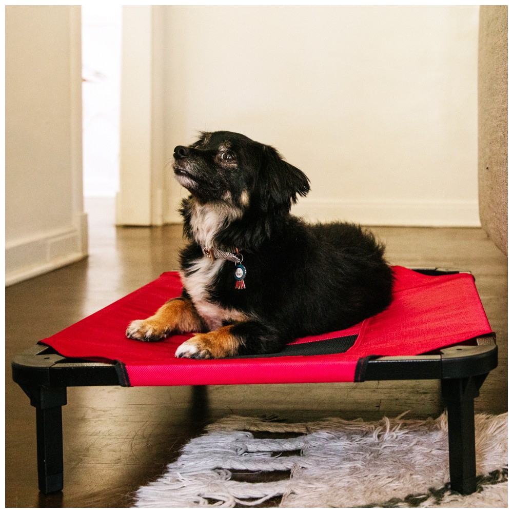 11- Matelas de repos surélevé pour chien - Intérieur extérieur - Rouge - M  74x51x19 - Lucky Dog