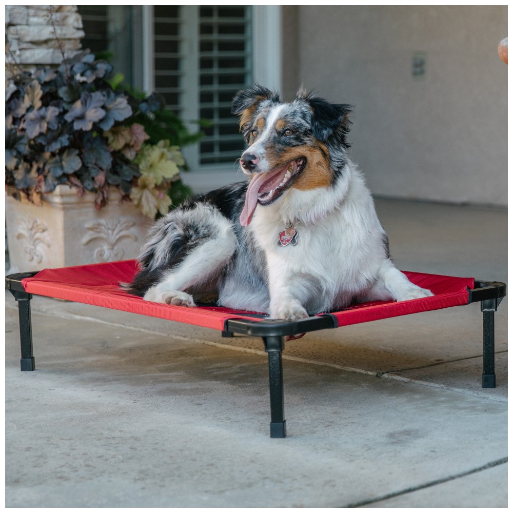 12- Matelas de repos surélevé pour chien – Intérieur extérieur – Rouge –  M/L 88x58x19 – Lucky Dog