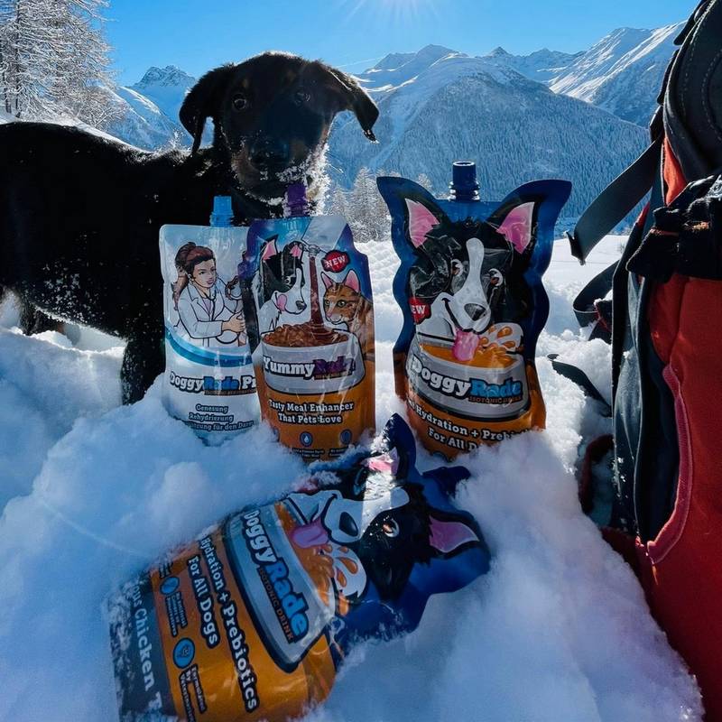 hydratation exhausteurs de gout chien