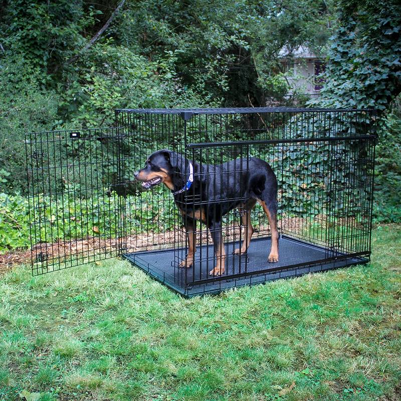 CAGE DE TRANSPORT pour chien luckey dog