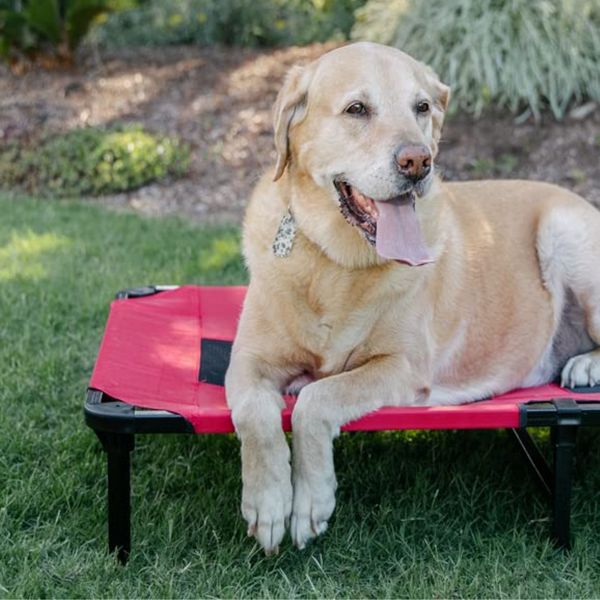 Matelas Lit Surélevé Lucky Dog