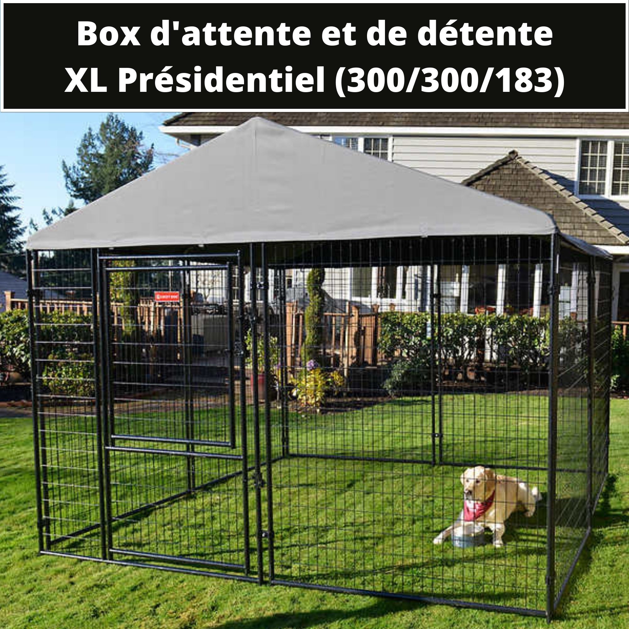 Enclos d'attente et de détente pour Chien en Kit - 300 / 300 / 183-  Treillis soudés - Lucky Dog - JCEurope