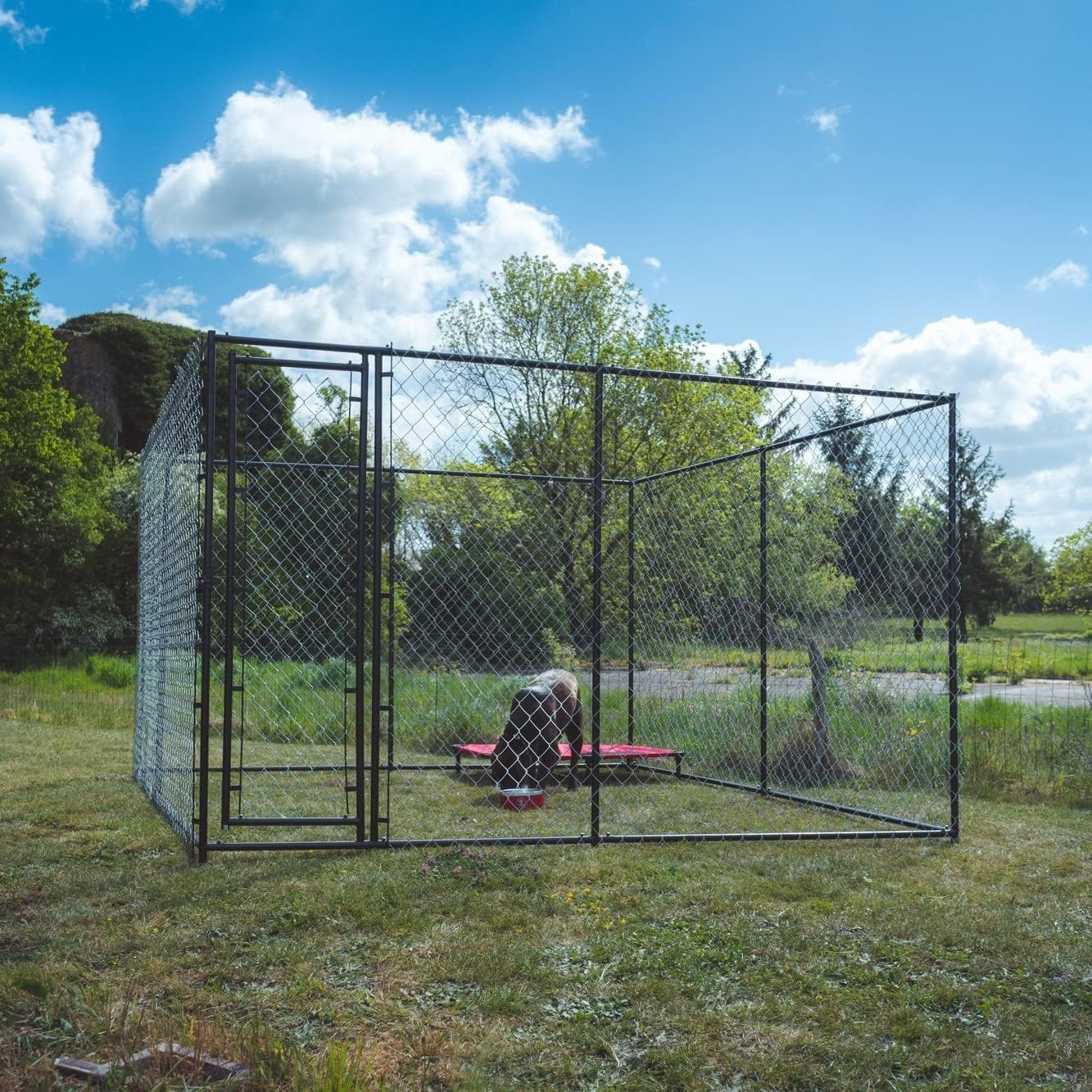 Parc enclos pour chiens grillage cage clôture intérieur et