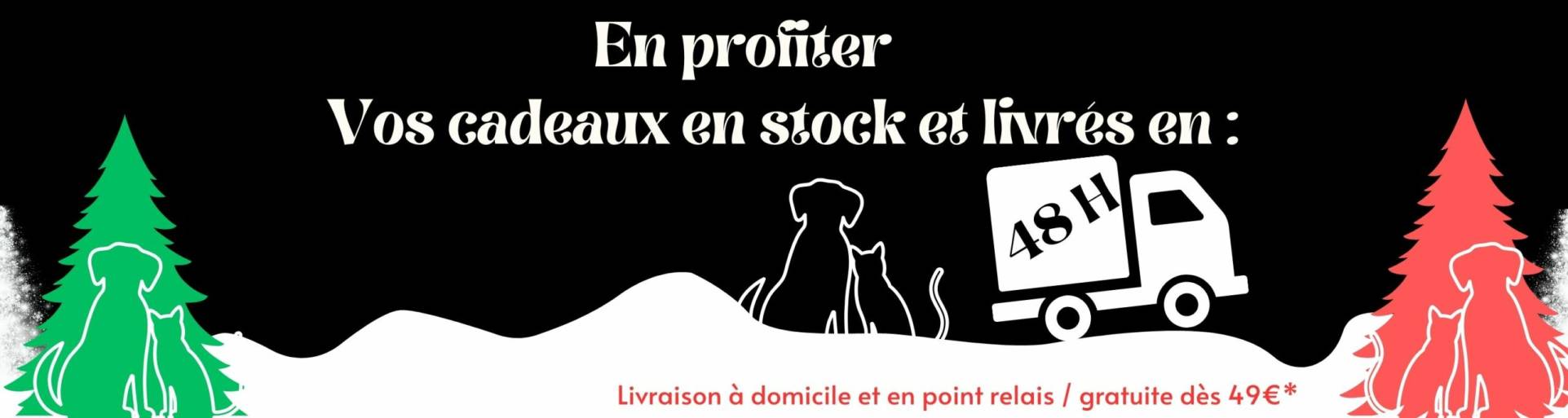 Cadeau Original Pour Chien Cadeaux