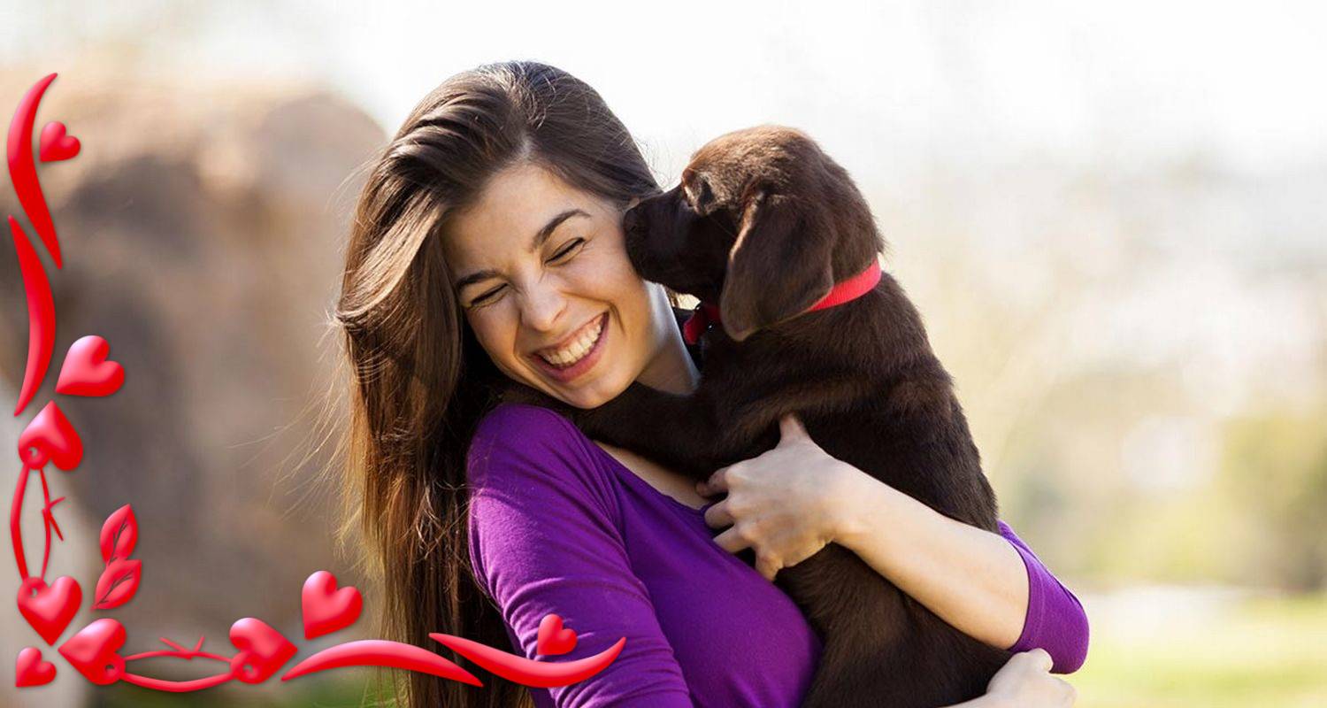 Cadeau Original Pour Chien Cadeaux