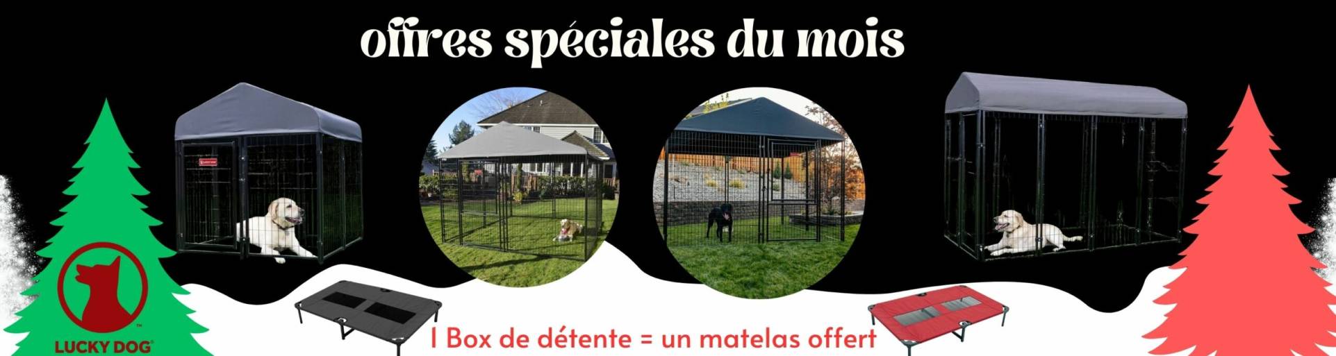 Cadeau Original Pour Chien Cadeaux