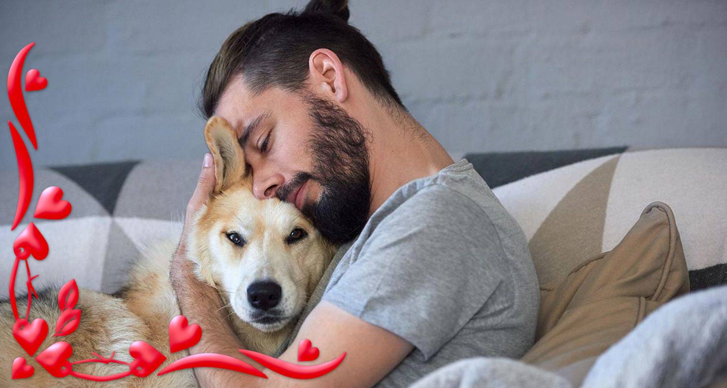 Cadeau Original Pour Chien Cadeaux